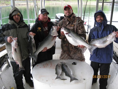 Nice Striped Bass